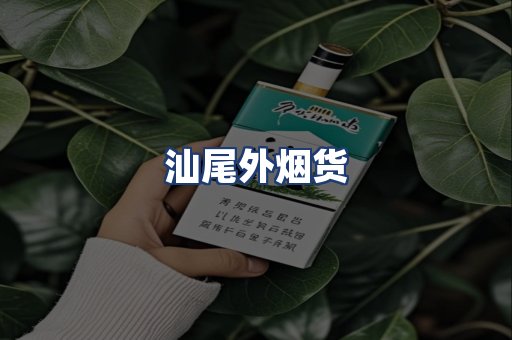 汕尾外烟货